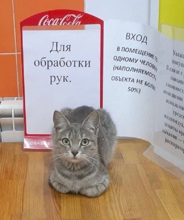 Нужна доза хорошего настроения? Мы тут подготовили подборку, после которой день станет чуточку лучше. 🚀 время, Устали, спокойнее, голос, 😄Листайте, заряжайтесь, лёгким, настроением, возвращайтесь, делам, какой, повезёт, последнее, реально, рассмешил, Поделитесь, комментариях, соберём, коллекцию, посмеяться