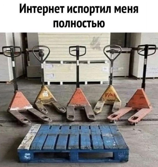 картинка 3ec7b0ed60 pjatnichnaja razrjadka memy i foto kotorye pojmet kazhdyj 11