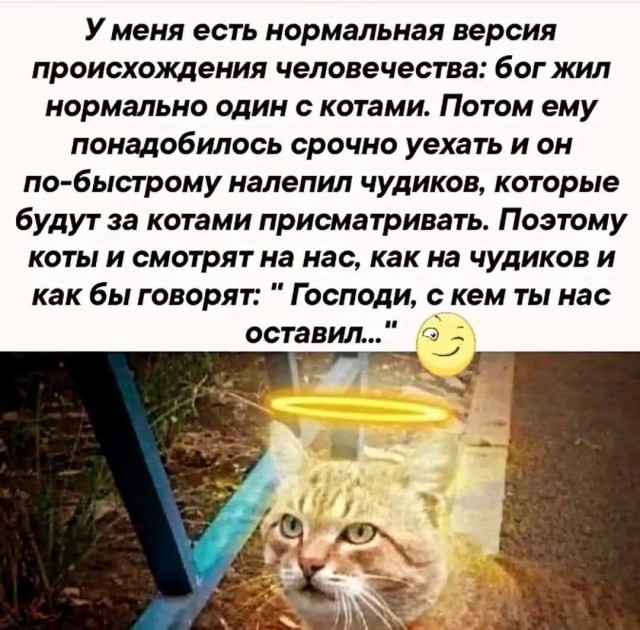 картинка 3facff9438 21228860