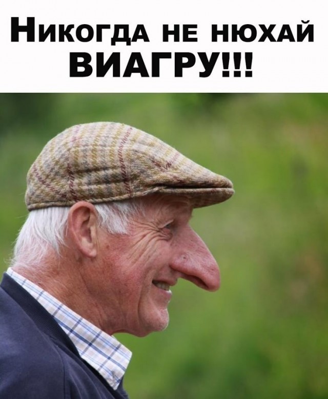 картинка 4066f8c6e5 21243518