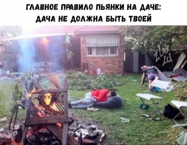 картинка 43e6af5aa4 21243259