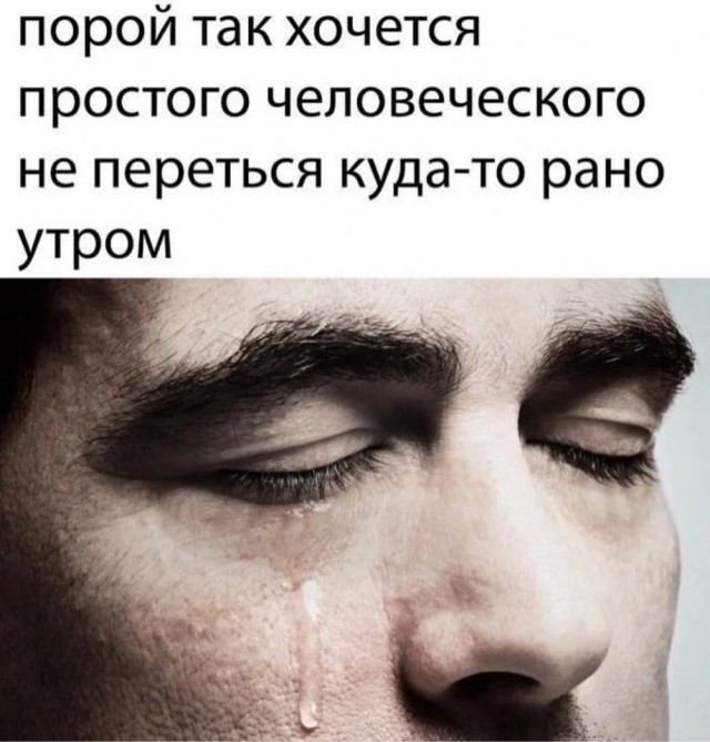 картинка 44420e628b 21191219