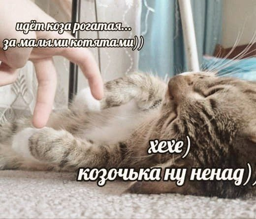 картинка 445df3464e 000000000000000