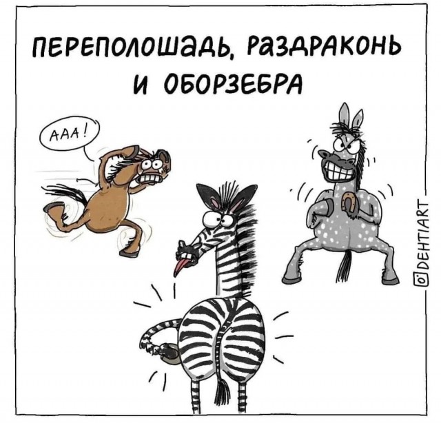 картинка 4d5e79ec71 21196119