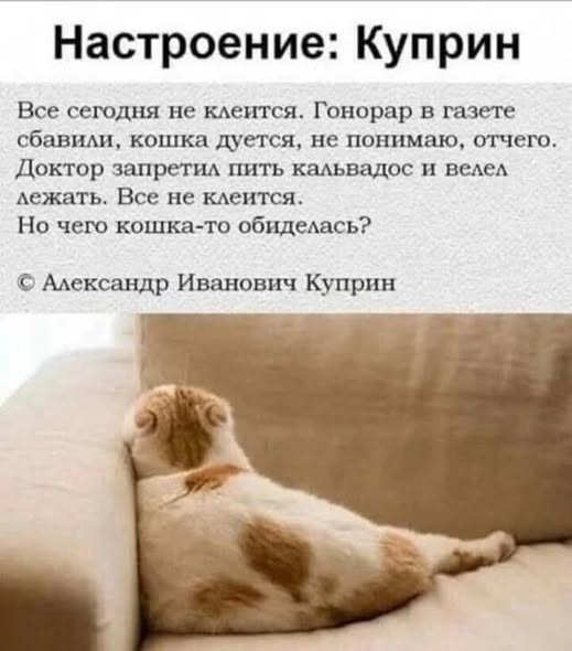Выходные официально открыты! ✨ настроение, улыбайтесь, картинок, которые, поднимут, самый, пасмурный, деньЛистайте, карусель, забудьте, ситуаций, отправить, другу, которому, нужно, немного, посмеятьсяПриятных, выходных, абсурдных, жизненных