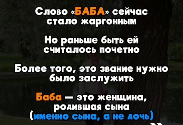 картинка 511a750f2e 21238886