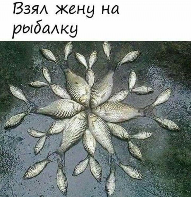 картинка 52f043a3ca 21196121