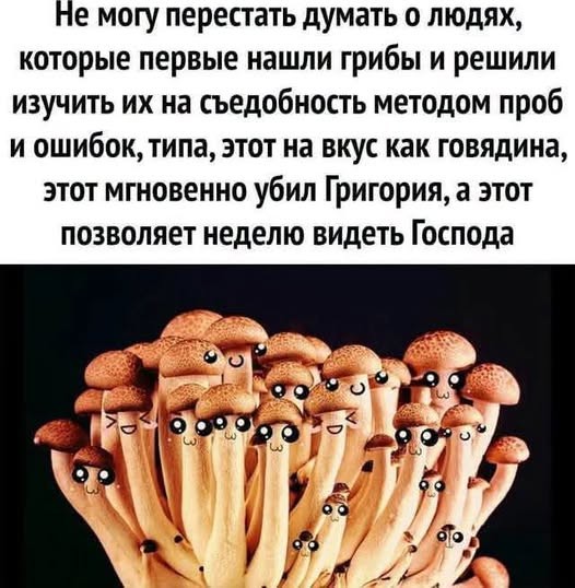 картинка 54f6a26a68 smejatsja nelzja no ochen hochetsja nasha podborka chernogo jumora 4