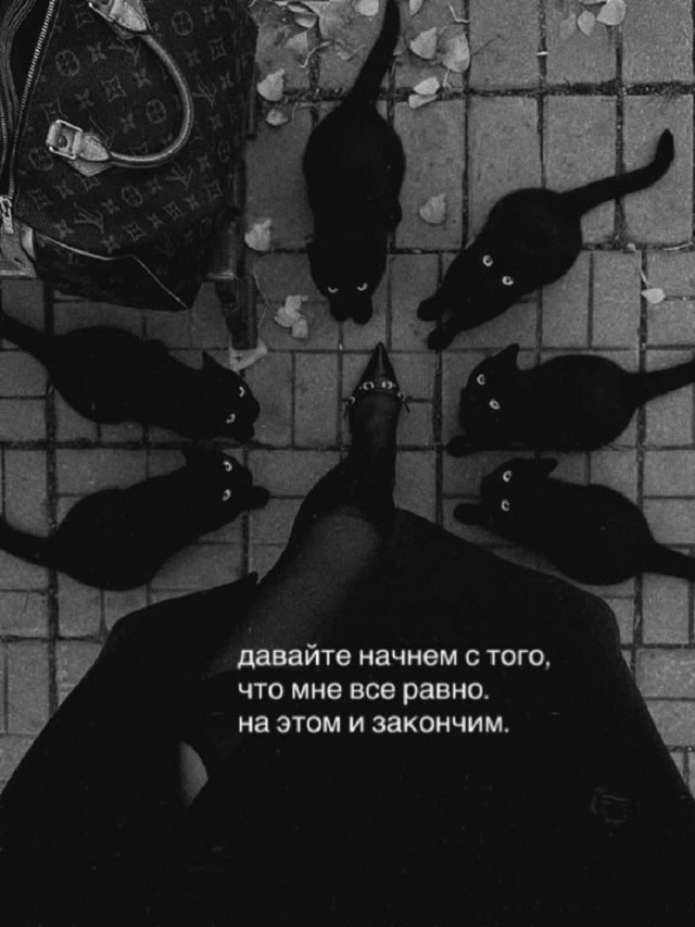 картинка 5847074f9c 21224589
