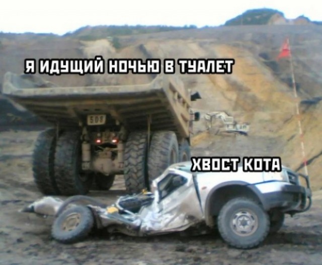 картинка 58dce753d1 21196214