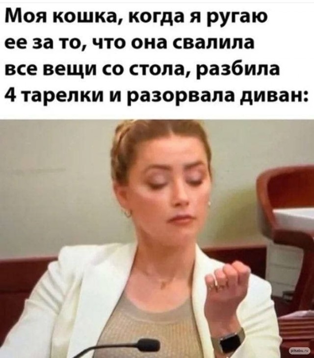 картинка 5a0a40fee9 21233272