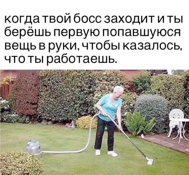 картинка 5c337627b7 21254369