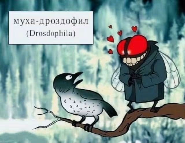 картинка 5c53853cef snova v jefire rubrika jumor dlja teh u kogo vse v porjadke s chuvstvom samoironii 9