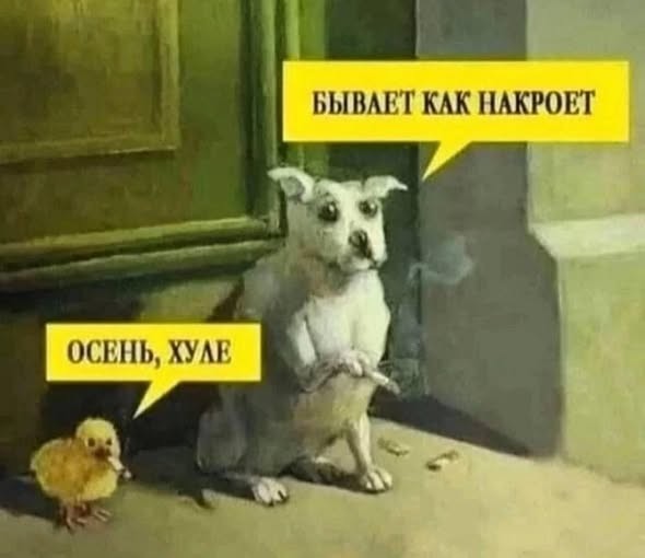 картинка 603f1dd45f ostorozhno chernyj jumor 25