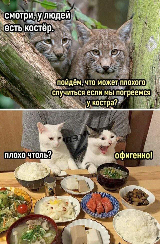 картинка 604ab03e17 000
