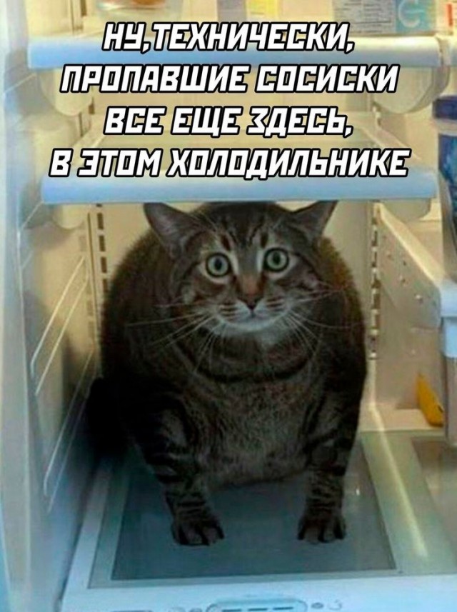 картинка 615a3d6bb8 21196509
