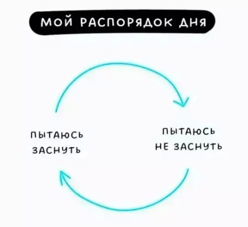 картинка 64b6db1863 21195192