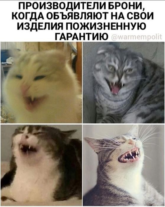 картинка 65b4e81316 21238153