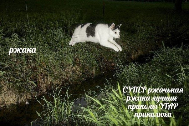 картинка 68406a44f1 seredina nedeli samoe vremja sdelat pauzu na 5 minut i prosto posmejatsja 3
