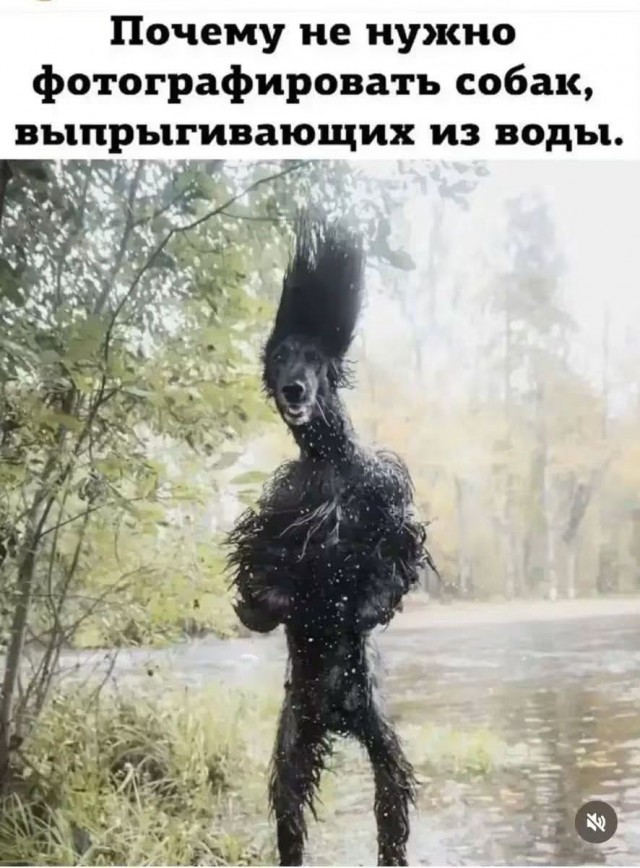 картинка 6a1963133f 21228862