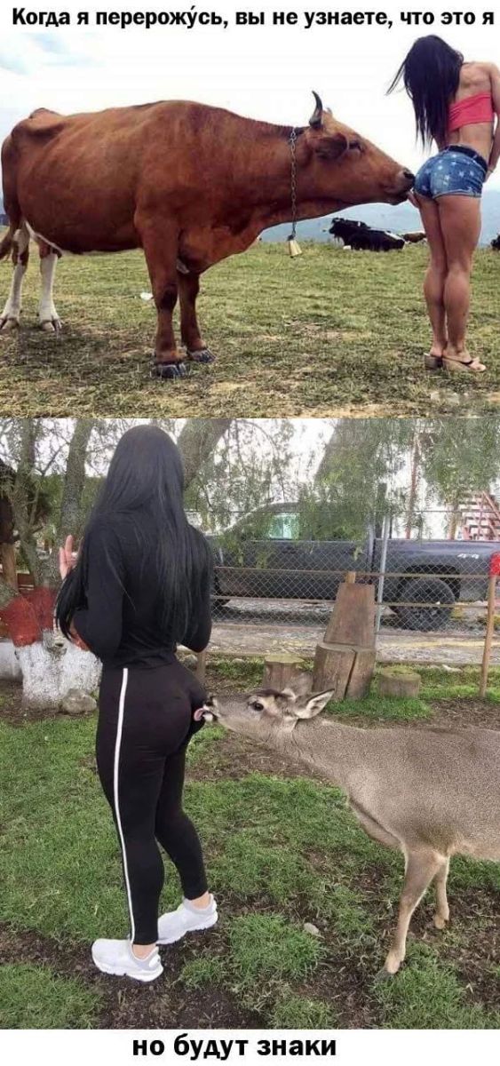 картинка 6d081e6da4 ostorozhno uroven toksichnosti zashkalivaet 21
