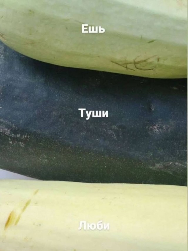 картинка 6d5f2d4dae 21196120