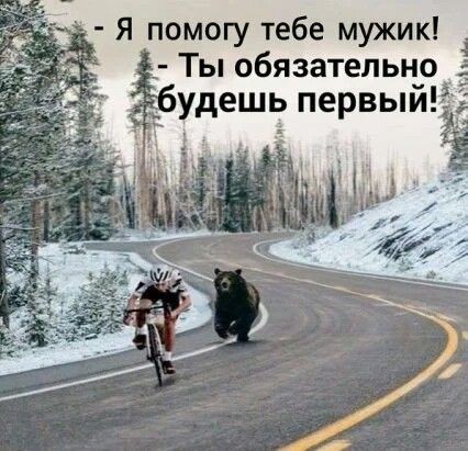 картинка 7136720a7b 21212447