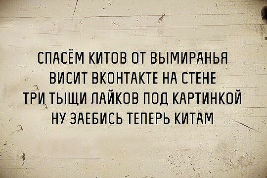 картинка 715f0d525c 00