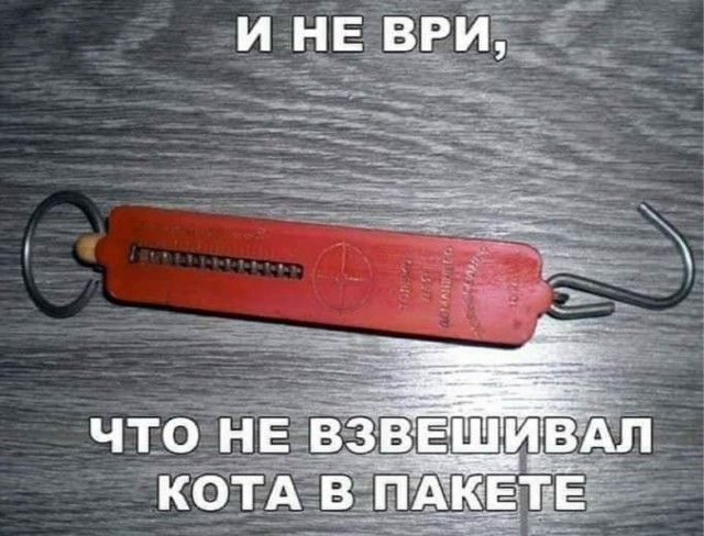 картинка 72af86cce6 21191213