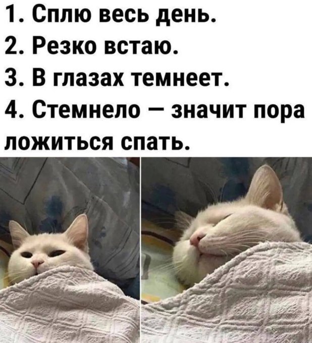 картинка 7323e0a03d 000