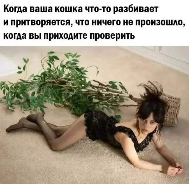 картинка 738a64ba3e 00