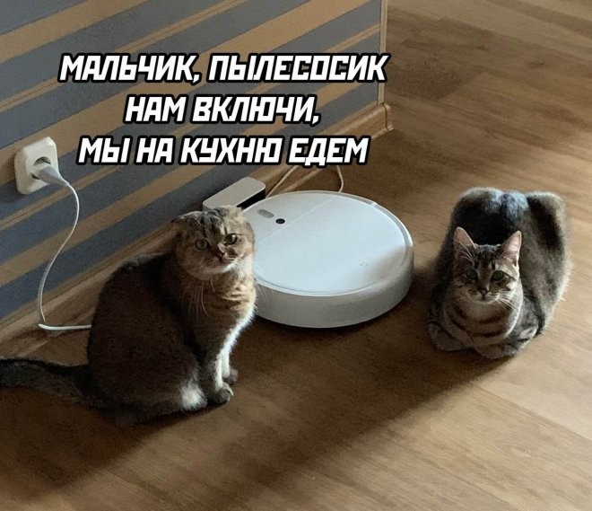 картинка 74a9f017d3 ostorozhno chernyj jumor 16