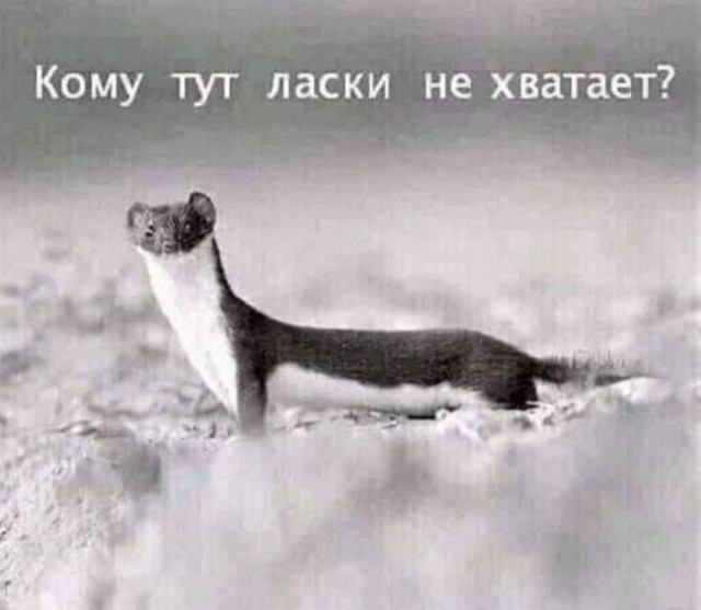 картинка 7938bec83e 21236793