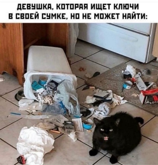 картинка 7a865f51ae 21191207