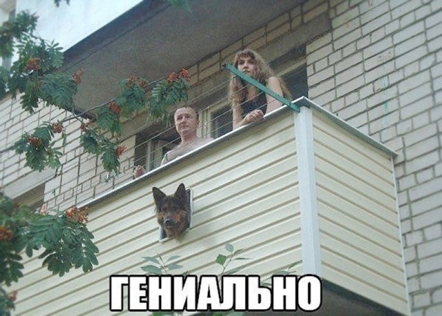 картинка 7ceac97a23 21236751