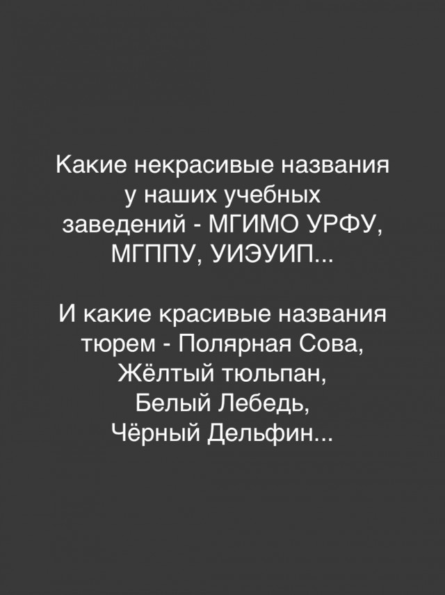 картинка 7dd5697241 21224601