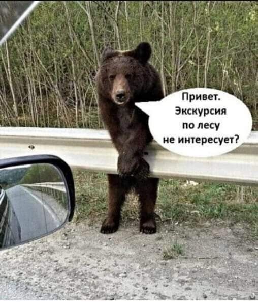 картинка 80fc20b868 00000