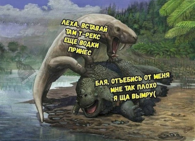 картинка 85b6e017a3 21213822