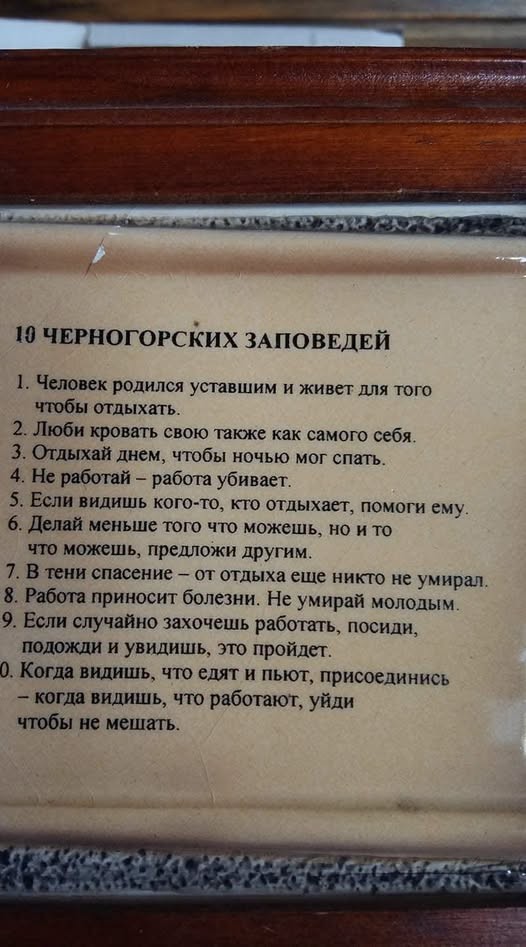 картинка 860f938a66 21225673