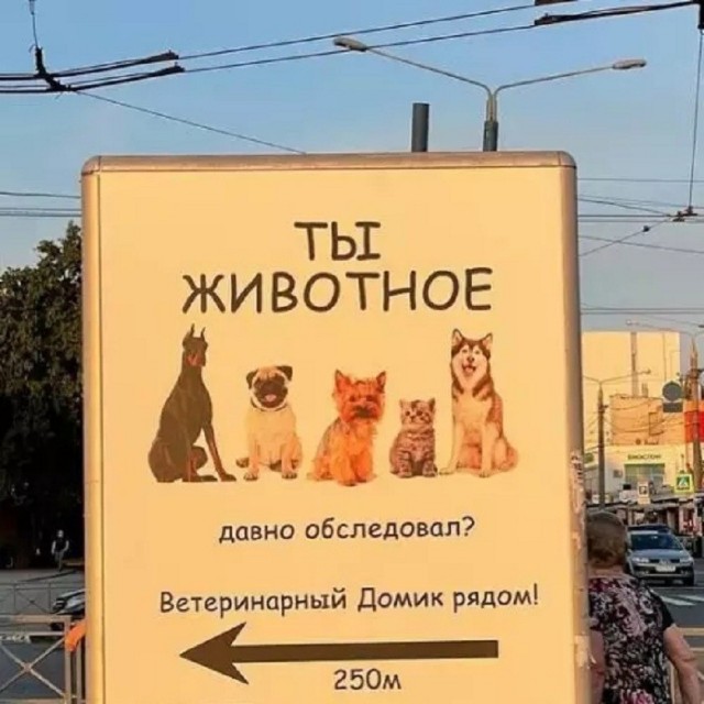 картинка 8877211f66 21224590