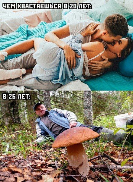 картинка 89d440aa03 ostorozhno uroven toksichnosti zashkalivaet 11