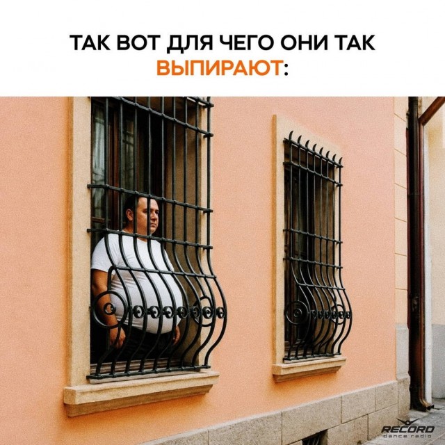 картинка 8c67996b93 21213856