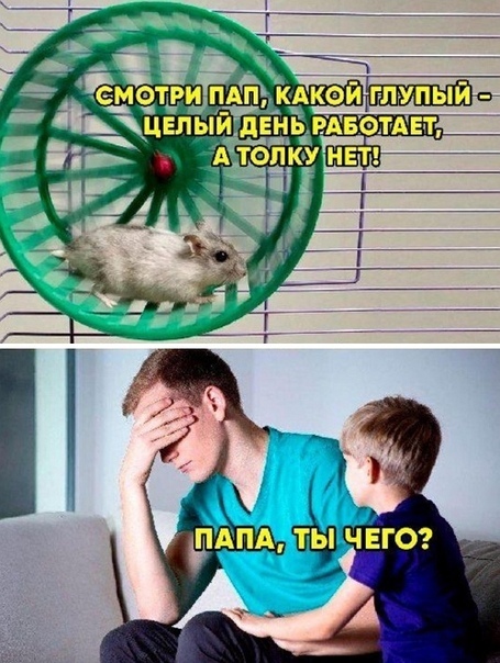 картинка 8d54328cb1 0000000