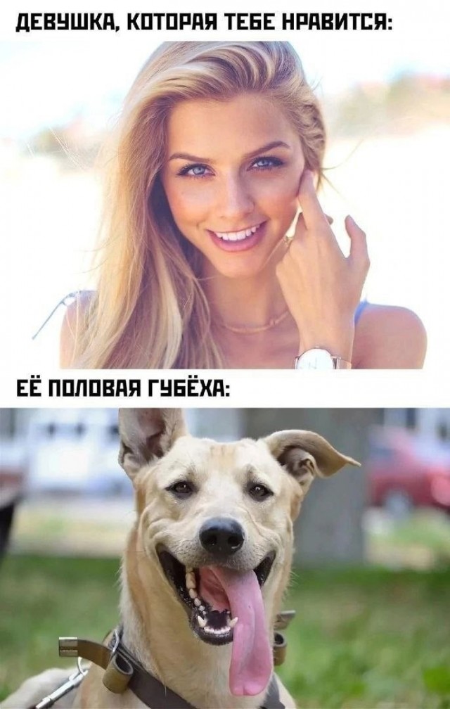 картинка 8d79758ea0 21256442