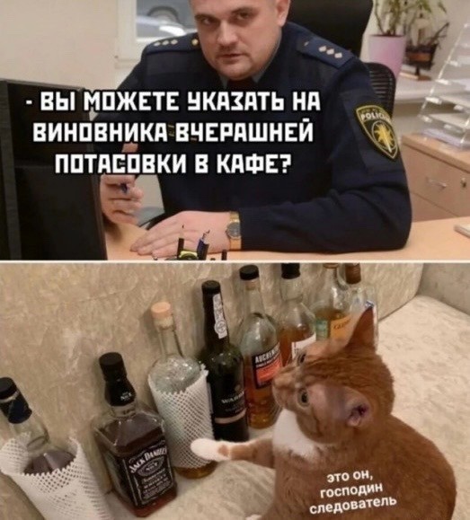 картинка 8d9bdc929d 21255496
