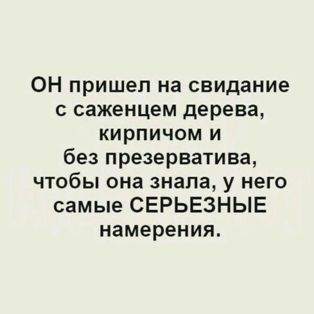 картинка 908270a47e 21243643