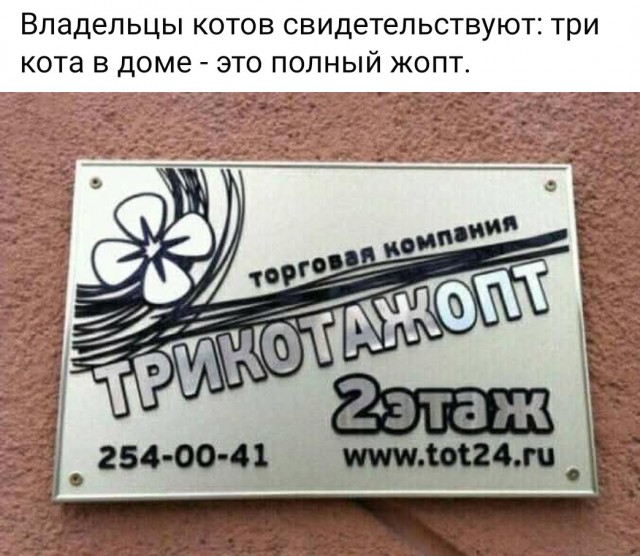картинка 90d50d4e44 21228974
