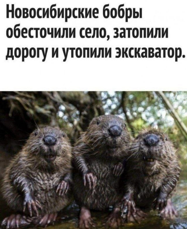 картинка 921726ffe2 pjatnichnaja razrjadka memy i foto kotorye pojmet kazhdyj 7