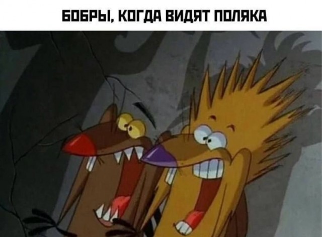 картинка 93e66b6dc6 21191216