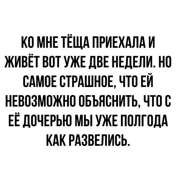 картинка 94eff89dca 21211074